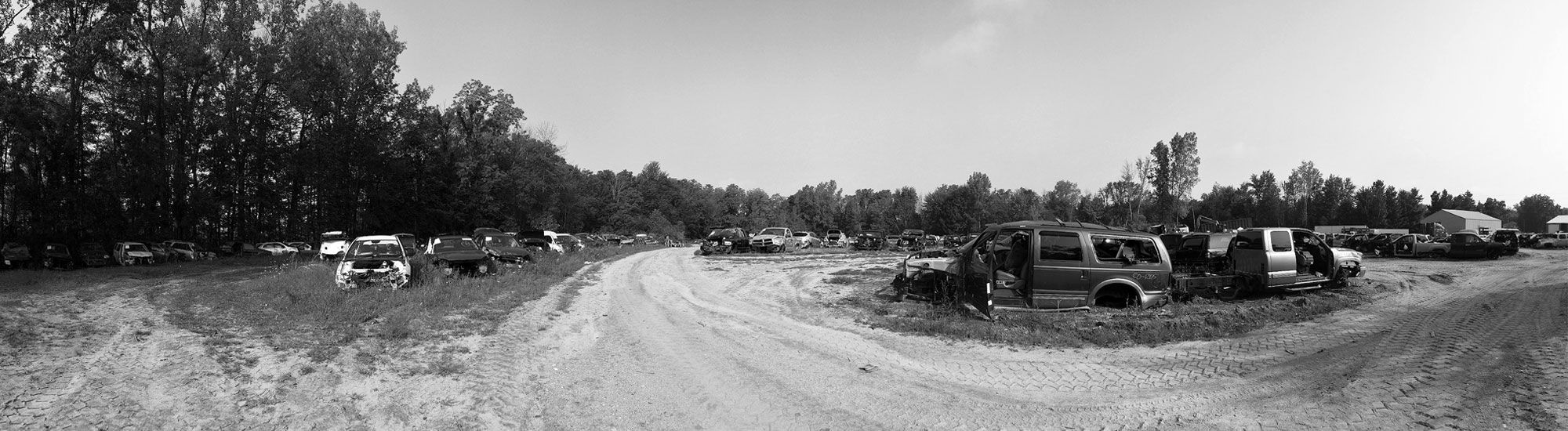 View of the yard at Doug's Auto Recyclers in Coldwater, MI